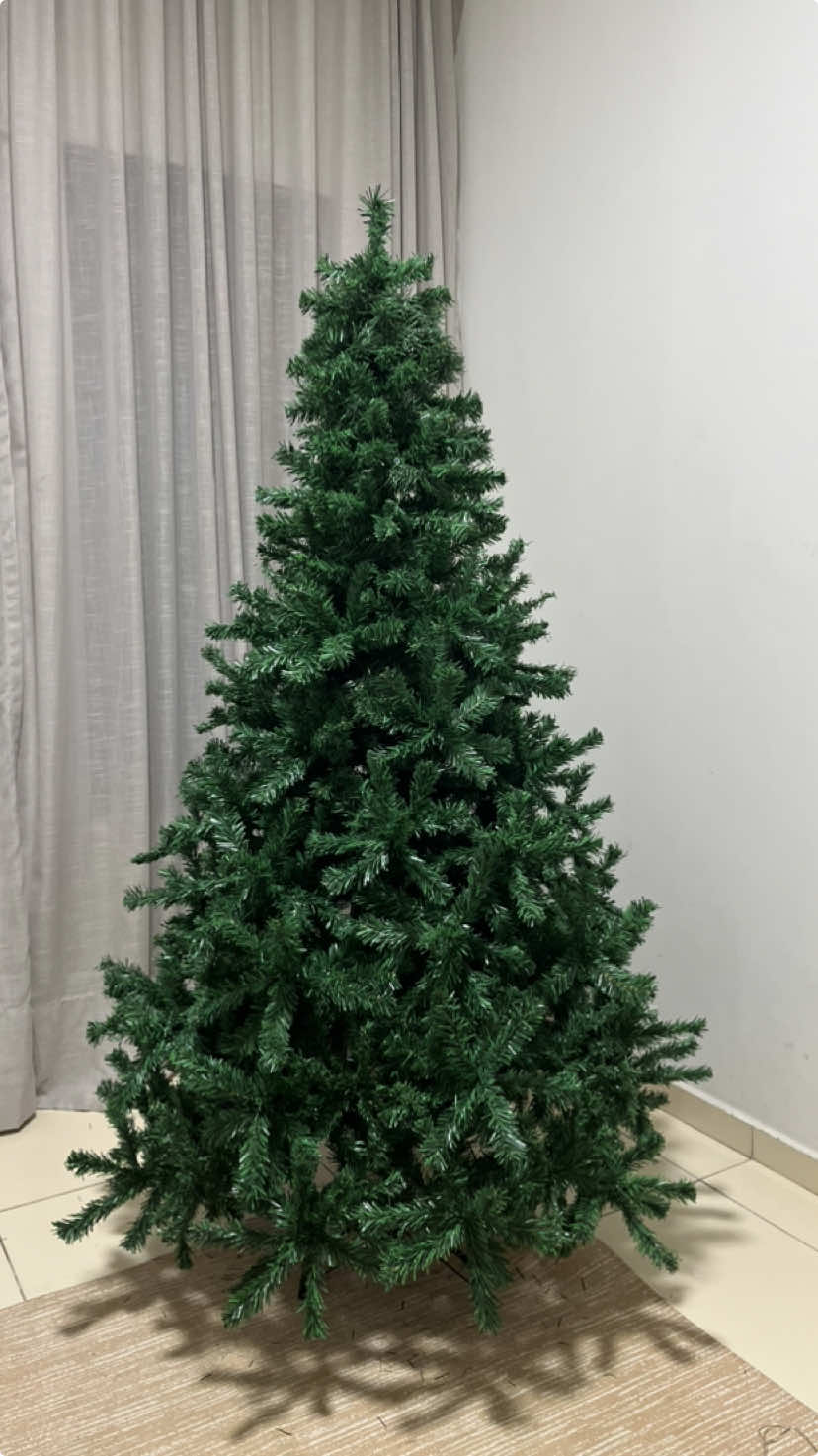 Encontrei na Shopee a árvore de Natal perfeita, com bastante galhos e naquele precinho! 🌲♥️✨ com 1,80cm de altura e 750 galhos. #natal2024 #arvoredenatal #fyp #pageforyou #natal #foryou #viral