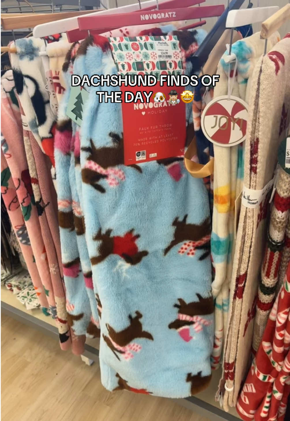 I cant believe I found all these dachshund items in ONE day😱🐶🎉 #doxmas #christmas #dachshund #dachshundfinds #foryoupage #christmastiktok #tjmaxx #homegoods #ddsdiscount #marshalls 