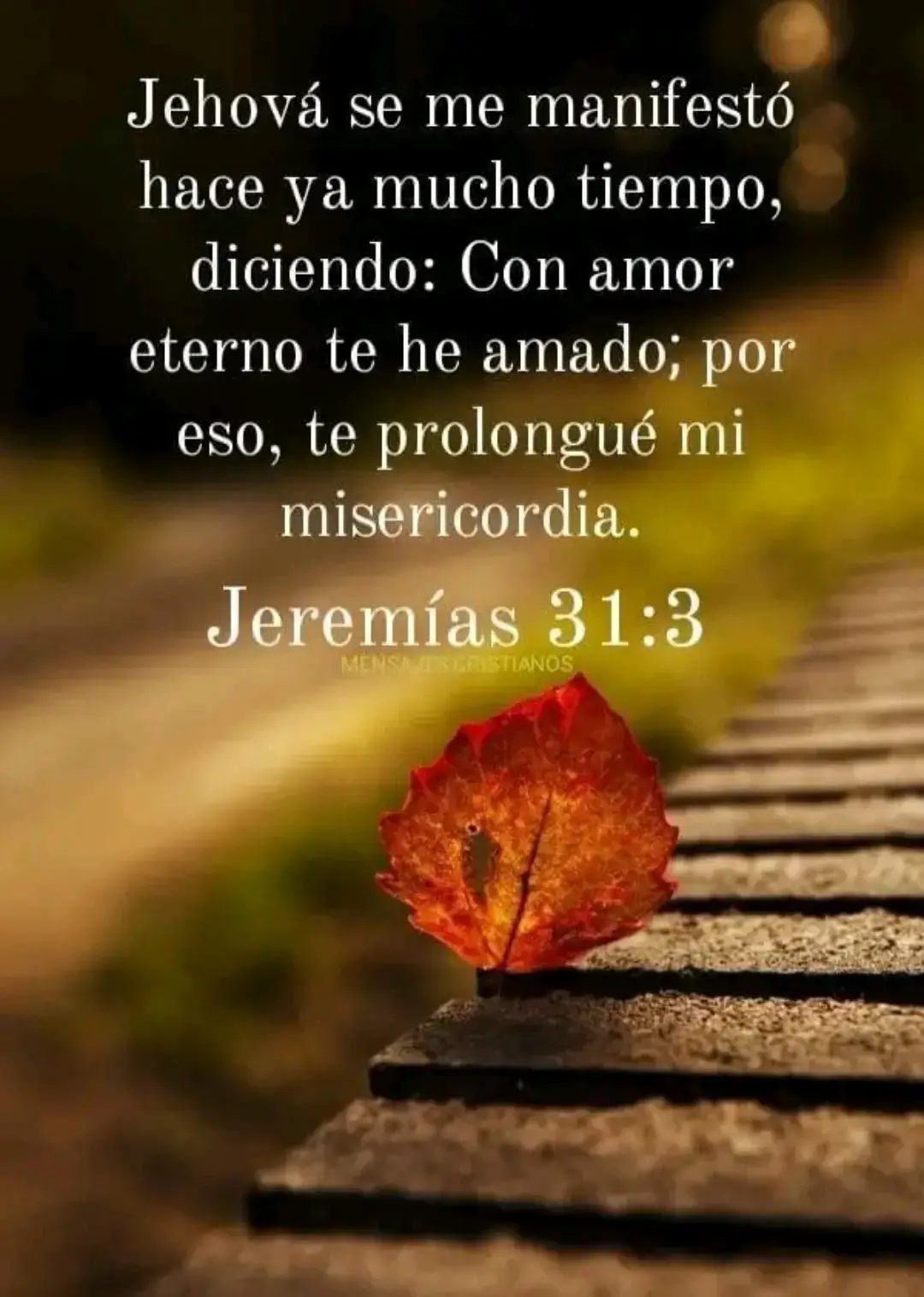 gracias por tu misericordia, te amo mi Dios #viraltiktok 