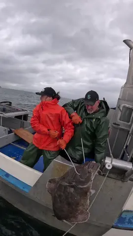 This place, these people, the halibut, so grateful!  . . . . . #alaska #halibut #seafood #glacierbay #boatlife #familybusiness #fishing #commercialfishing #fatherdaughter #ocean #grateful #glacierbay 