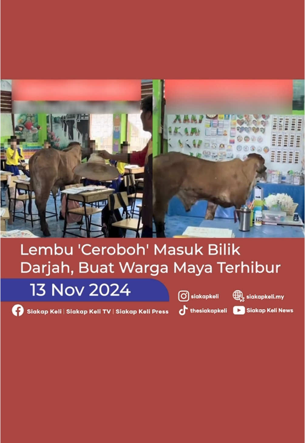 lembu tu pun nak pandai juga 😅 #TrendingNewsMalaysia #BeritaDiTikTok #NewsAtTikTok #lembu #thailand #sekolah #kelas #alamak #masuk #tibatiba 