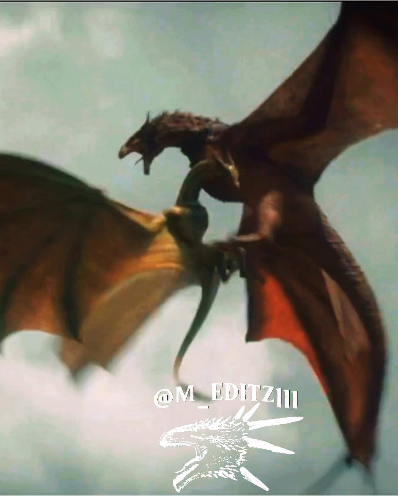 Angos Meleys 🔥 || man I missed editing #meleys #meleystheredqueen #meleysandrhaenys #meleysthedragon #angosmeleys #dragons #houseofthedragon #hotd #got #meleysandrhaenysedit #syrax #vermithor #silverwing #vhagar #gameofthronesedit #gameofthrones #meleysedit #rhaenystargaryen #rhaenysvelaryon #meleystheredqueen♥️ 