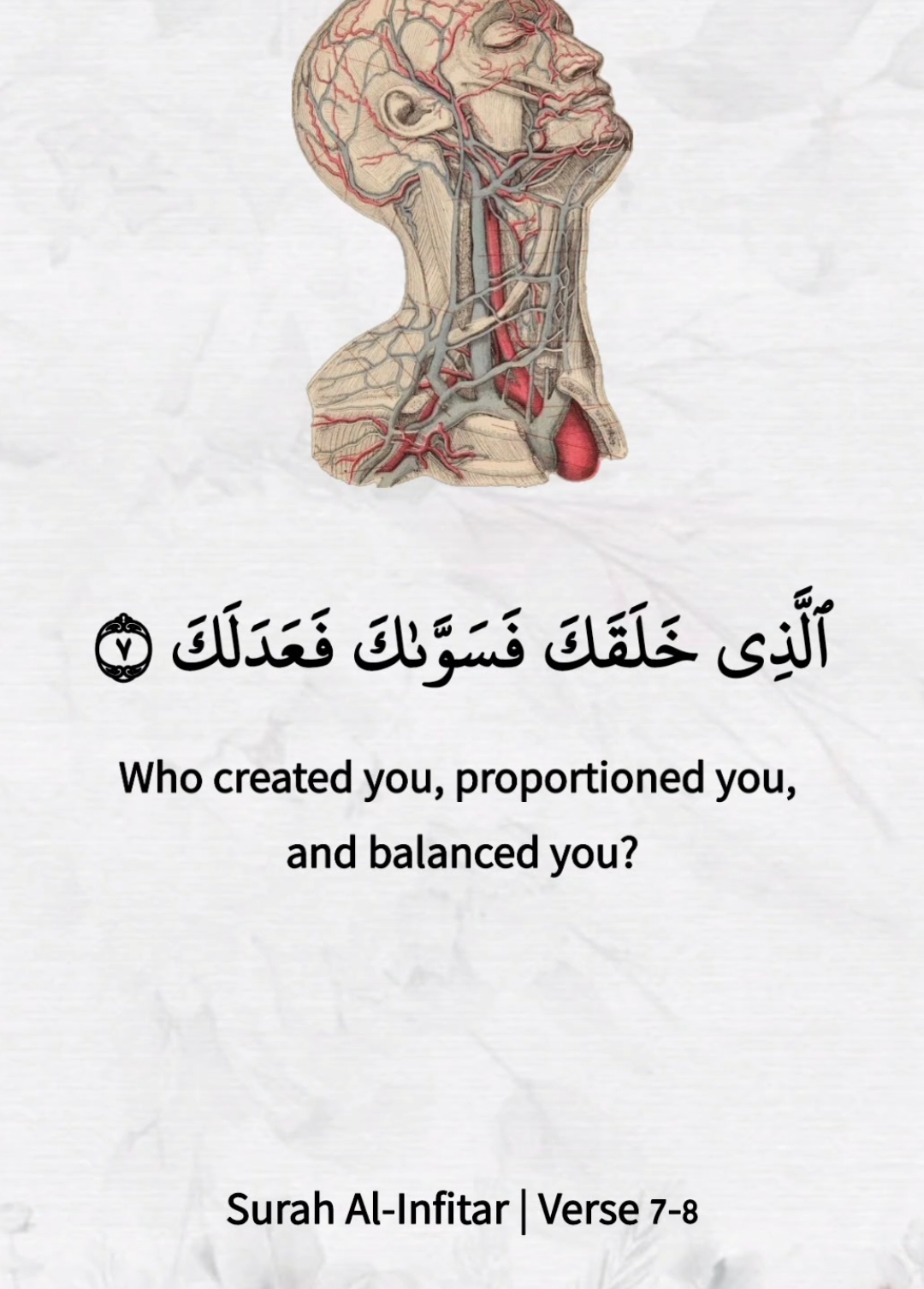 That He (your Lord) created you, then designed you | Surah Al-Infitar ❤️ . . . #animation #art #quran #quranrecitation #foryou #explore 