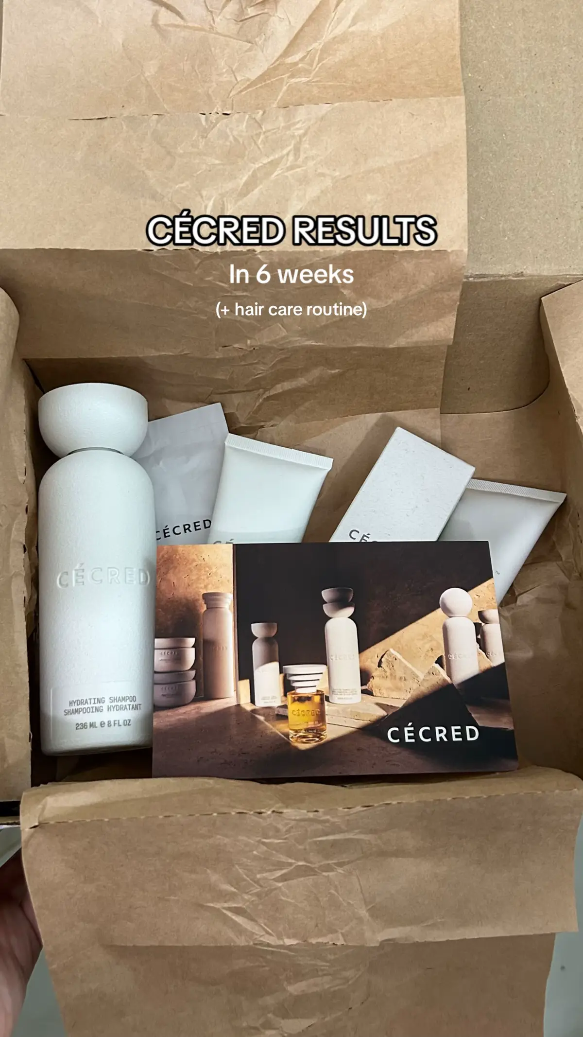 the @CÉCRED update no one asked for 🫧 #cecred #cecredbybeyonce #cecredworks #beyonce #hairroutine 