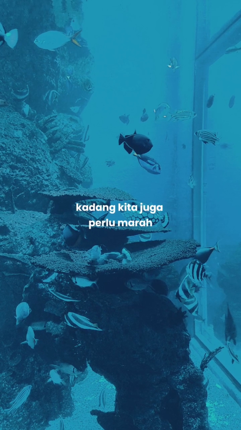 Nggak apa-apa kok sesekali marah untuk mengeluarkan perasaan yang kita rasakan 😗 Kamu tim yang mendem aja atau ngeluarin unek-unek gess???  #selfdevelopment #SelfImprovement #selfhealing #selfreminder 