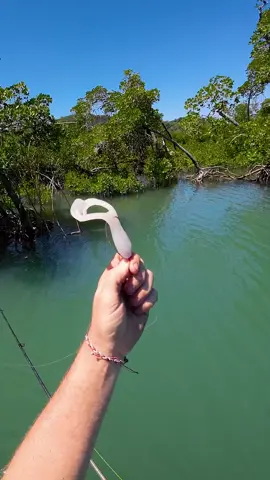 i like you fish 