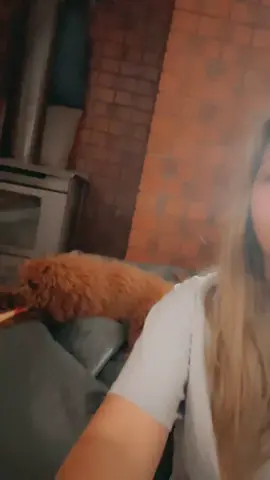 Barking at Ollie to see his reaction! 😂 The way he dropped that toy and looked at me followed with the slap!😂🐶   #foryou #puppy #barkingchallange #dog #animal #fyp 