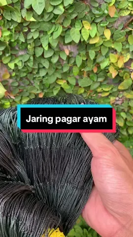 Jaring pagar ayam ready lebar 1,5 meter dan 2 meter. Dengan panjang 22-25 meter bosku #petaniindonesia🇮🇩🇮🇩🇮🇩🌿🌿 #peternakmuda #peternakmilenial 
