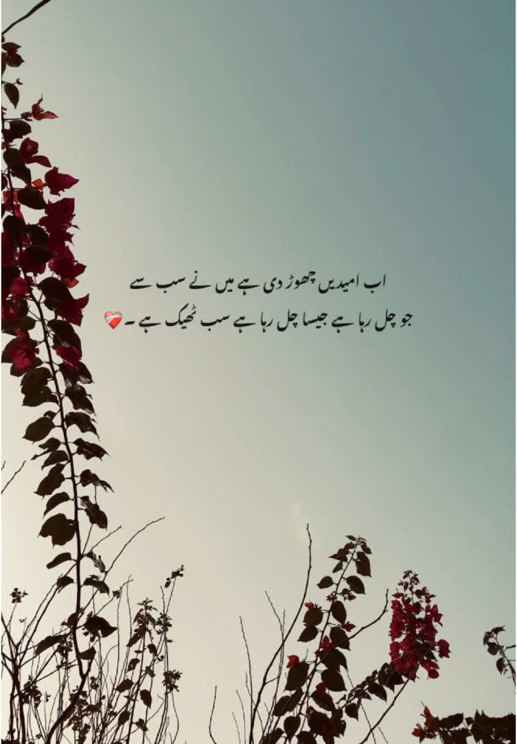 🤍_ | #shizzy_ #fyp #fypツ #foryouu #foryoupagе #urdupoetry 