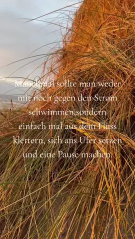 P a u s e  #Ufer #Pause #durchatmen #runterkommen #nachdenken #Gedanken #fy #fyp #♡ 