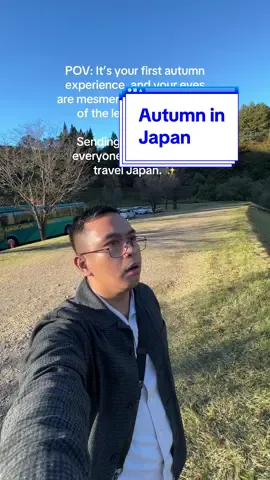 POV: It’s your first autumn experience, and your eyes are mesmerized by the colors of the leaves! 🍂 🍃 😍  Sending travel dust to everyone who wants to travel Japan. ✨ #wheregregwent #solotravel #DiscoverJapan #AmazingJapan #travel #Japan #autumn 