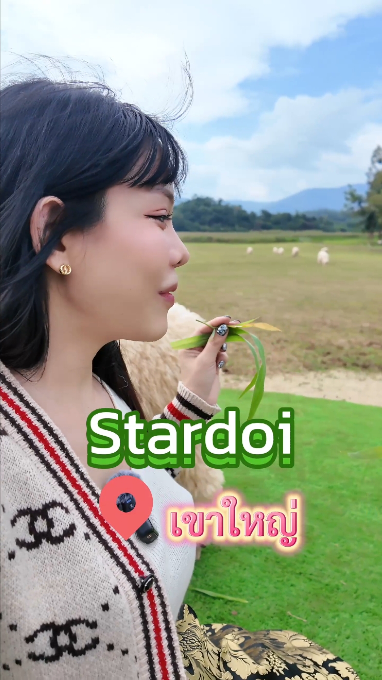 ขาวมากแก.... แกะนะ พาเที่ยวฟาร์มแกะเปิดใหม่ที่เขาใหญ่ Stardoi Farm @tuubanhan @โกดังพิศวง  ⏰️ เปิดทุกวัน 8.30น.-17.00น.  👉 ค่าเข้าคนละ 120 แต่เอาไปลดในคาเฟ่ได้ 40  #ไอซ์อย่าไปบอกใครนะ #tiktokกินเที่ยว #เขาใหญ่ #ฟาร์มแกะ 