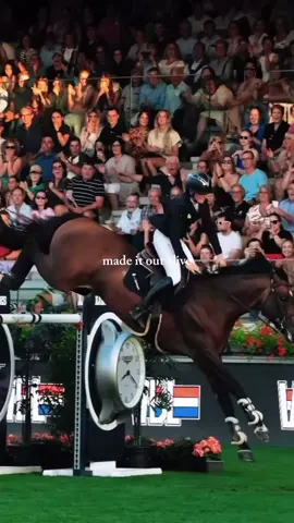 Life of top showjumpers😍💪#showjumping #equestrian #success #winner #foryou #fyp #foryoupage 