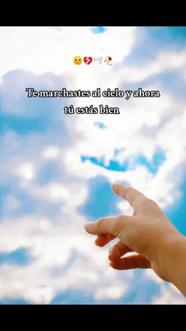 🕊️😢