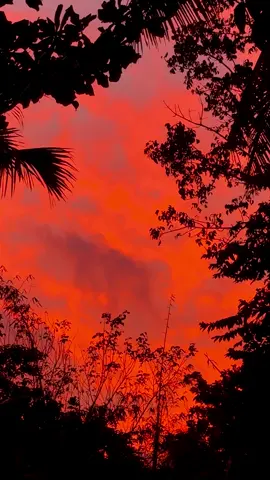 5:24 pm today — 🫶 #sunset 