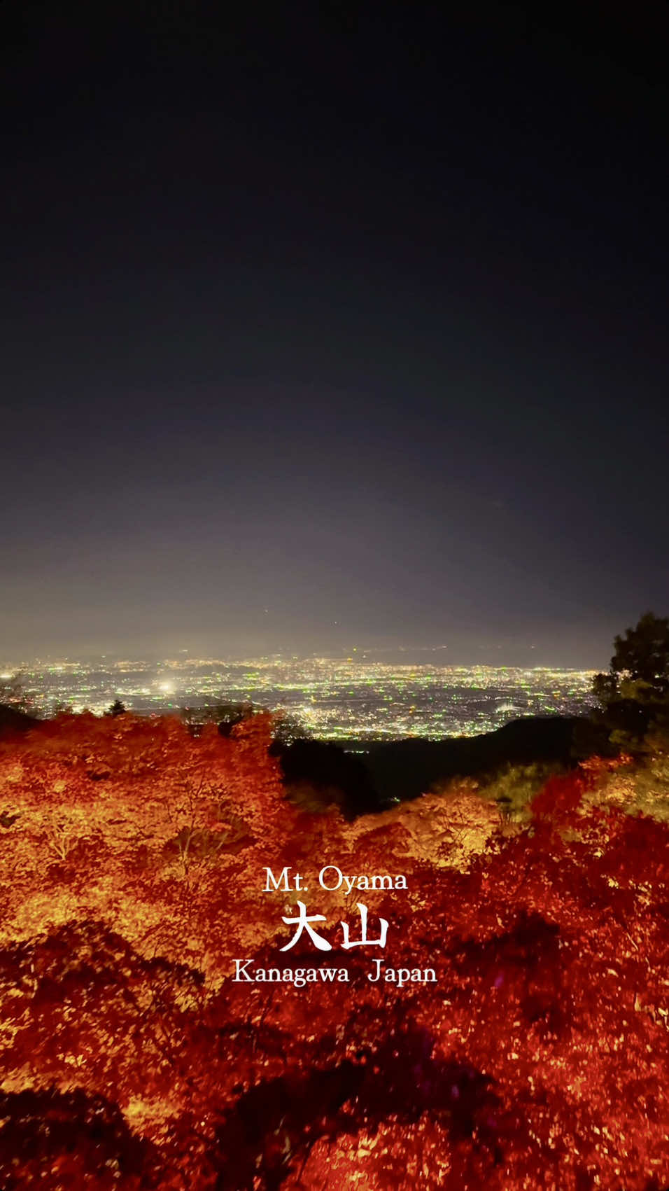 間もなく見れる大山の紅葉🍁✨ 📍Mt. Oyama / Kanagawa🇯🇵 🗾 大山 【Location】 📍Oyama Afuri Shrine(大山阿夫利神社) 📍Oyama Temple(大山寺) 紅葉シーズンを迎えた大山では今年も大山寺と大山阿夫利神社下社でライトアップが行われます。    美しく照らされた紅葉と、絶景の夜景を同時に楽しむことができる夢の場所です🍁✨️ ここの紅葉の特徴は見頃を迎えると驚くほどに真っ赤に染まります🍁私が去年見た紅葉の中でも一番赤いもみじでした🥰 【開催期間】 2024年11月20日～12月1日 平日　　　日没　～　19：00  土休祝日　日没　～　20：00 This year, Oyama Temple and Oyama Afuri Shrine will be lit up again.    It's a dreamy place where you can enjoy the beautifully illuminated autumn leaves and the spectacular night view at the same time🍁✨️ The distinctive feature of the autumn leaves here is that they turn an amazingly deep red when they reach their peak🍁These were the reddest maples I saw last year🥰 [Event period] November 20th to December 1st, 2024 Weekdays: Sunset to 7pm Saturdays, Sundays and holidays: Sunset to 8pm #大山 #神奈川 #大山阿夫利神社 #大山寺 #日本の風景 #紅葉 #Japan #kanagawa 