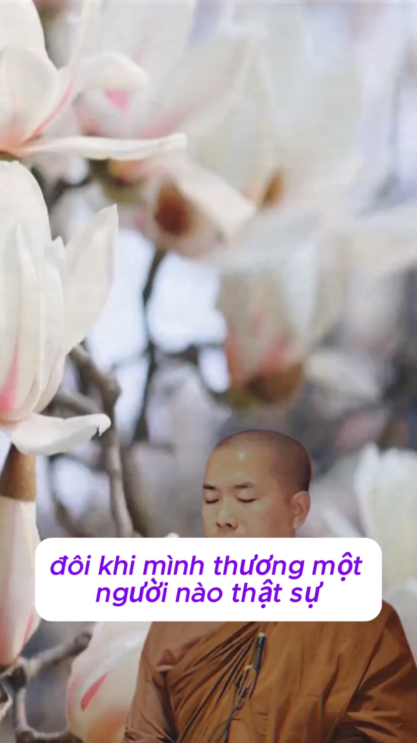 khi bạn thương Một người với Tâm Từ Tâm Bị Pháp Thoại: Sư Minh Niệm 