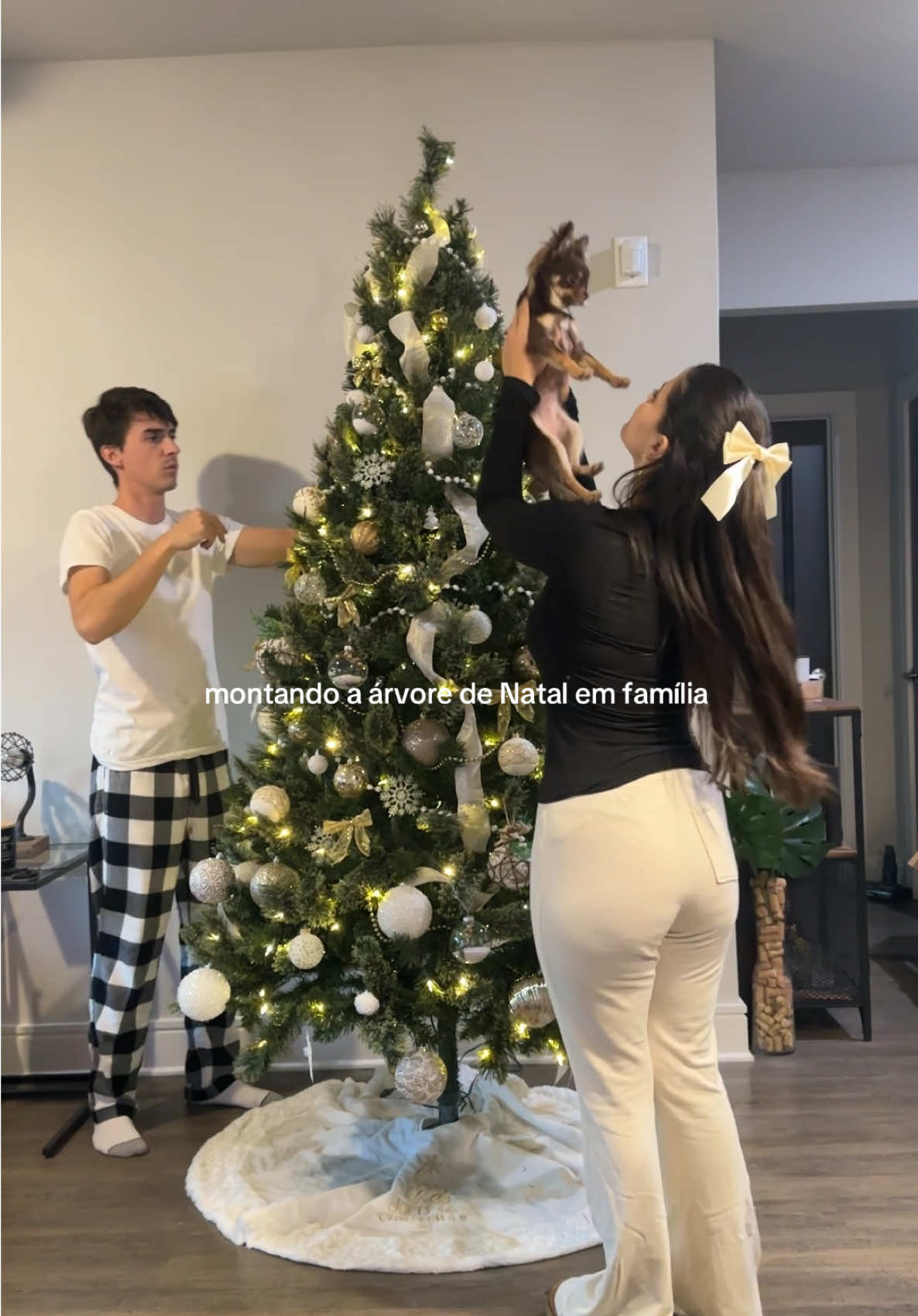 Nosso primeiro Natal com a Mocha nossa chihuahua bagunceira ♥️  #nataldecoracao #decornatal #enfeitesdenatal #montandoarvoredenatal #natal2024 #casal #arvoredenatal #foryou #paravoceforyou  video montando arvore de natal grande casal 