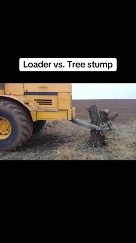 Guess who won…