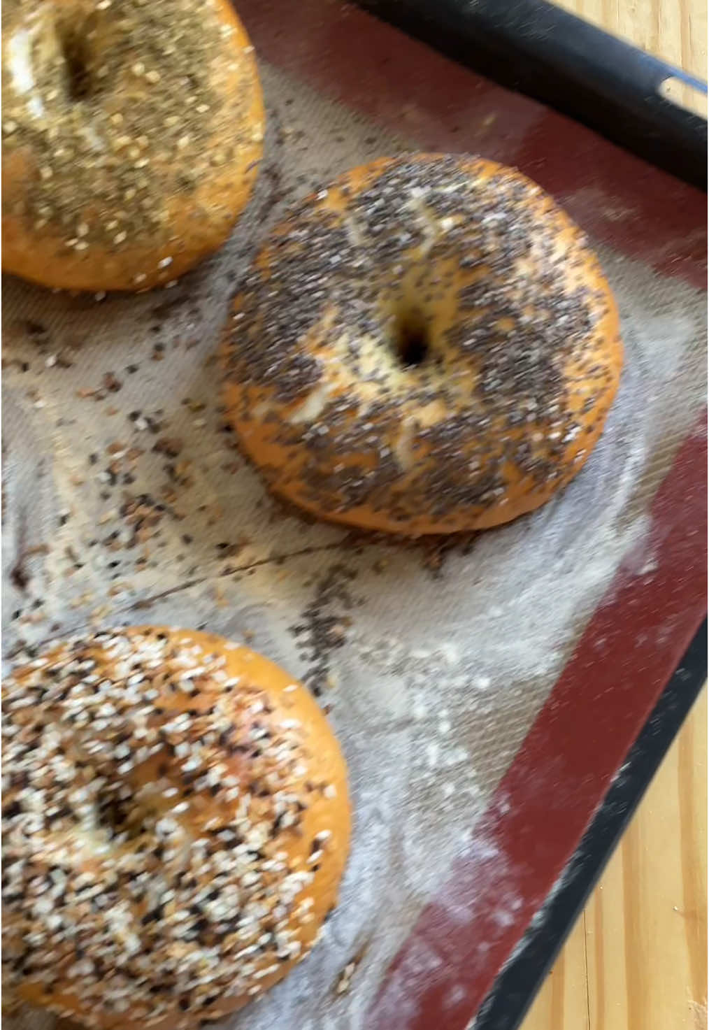 The only bagel 🥯recipe you will need اطيب خبز البيغل For 6 bagels roughly 120 grams each عدد ٦ 450 grams flour ٤٥٠ غ طحين 10 grams salt ١٠ غ ملح 265 grams water ٢٦٥ غ ماء 1 1/2 tbsp sugar ١ ١/٢ ملعقة كبيرة سكر 1 1/4 tsp yeast ١ ١/٤ ملعقة صغيرة خميرة 1 egg ١ بيضة Sesame seeds سمسم Nigella seeds حبة البركة Zaatar زعتر Chia seeds بذور الشيا #bagels #bread #خبز #وصفات_سهله