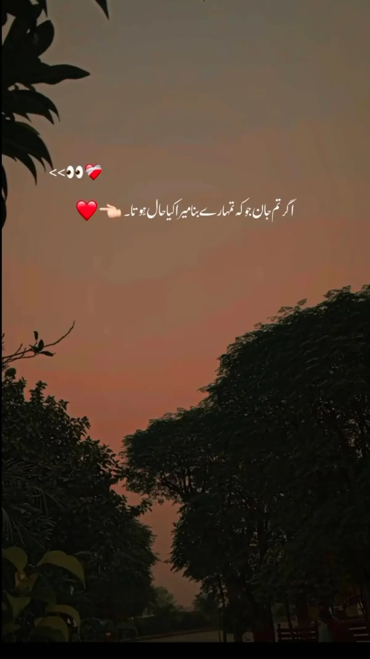 تو تم مجھے سینے سے لگا کر رو پڑو 🧸🥺♥️  #ꜰᴏʀyᴏᴜ 