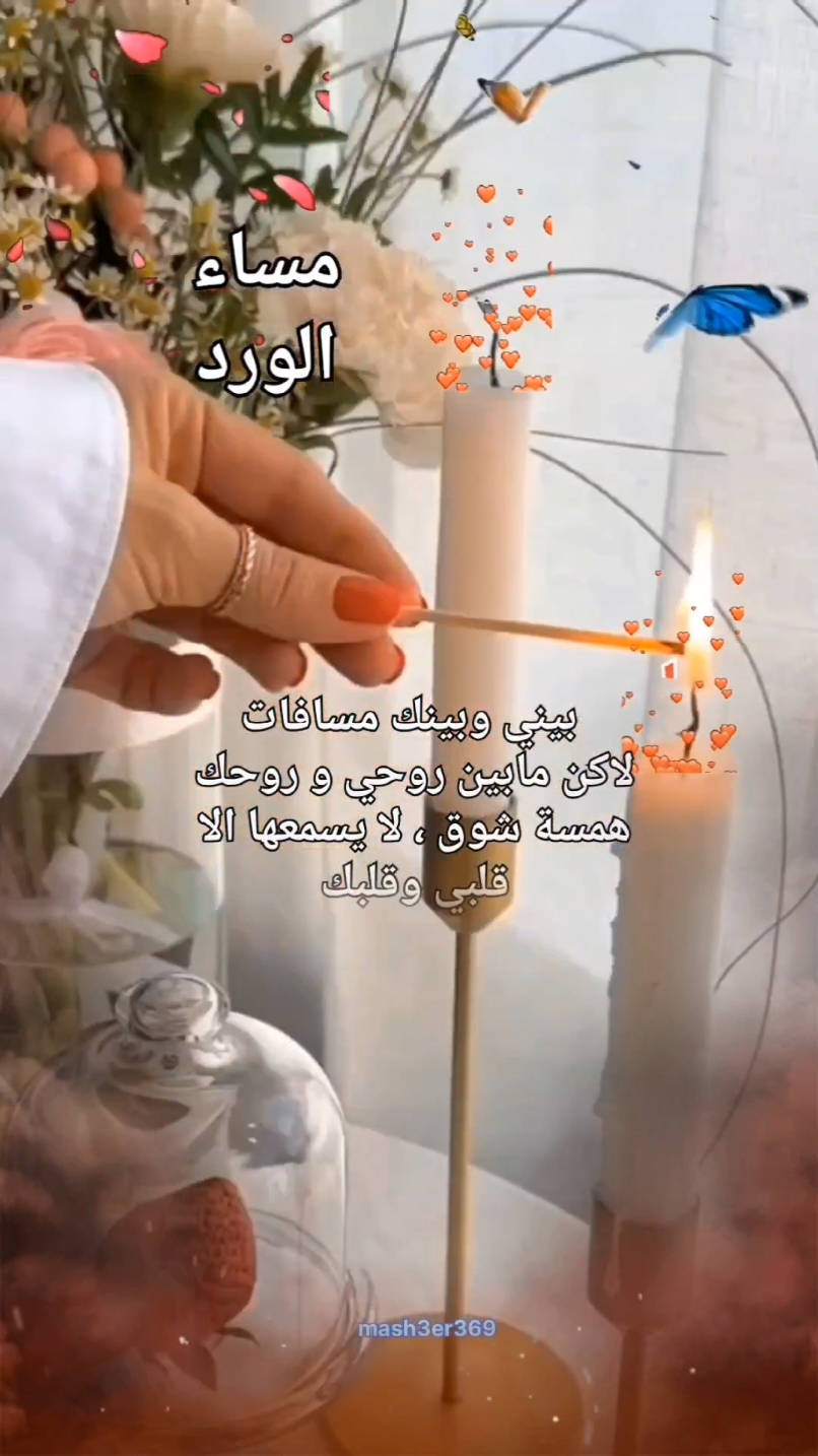 بيني وبينك ياهاليل . good evening  ,  مساء الخير  ،مساء الورد، احلى مساء، حالات مساء الخير، #حالات #حالات_واتس #ستوريات #حب #عرب#عبارات #خواطر #اقتباسات #السعودية_الكويت_مصر_العراق_لبنان #النغرب_تونس_ليبيا_دبي_قطر #الاردن #تركيا #story #foruyou #tik_tok #CapCut @مشاعر 