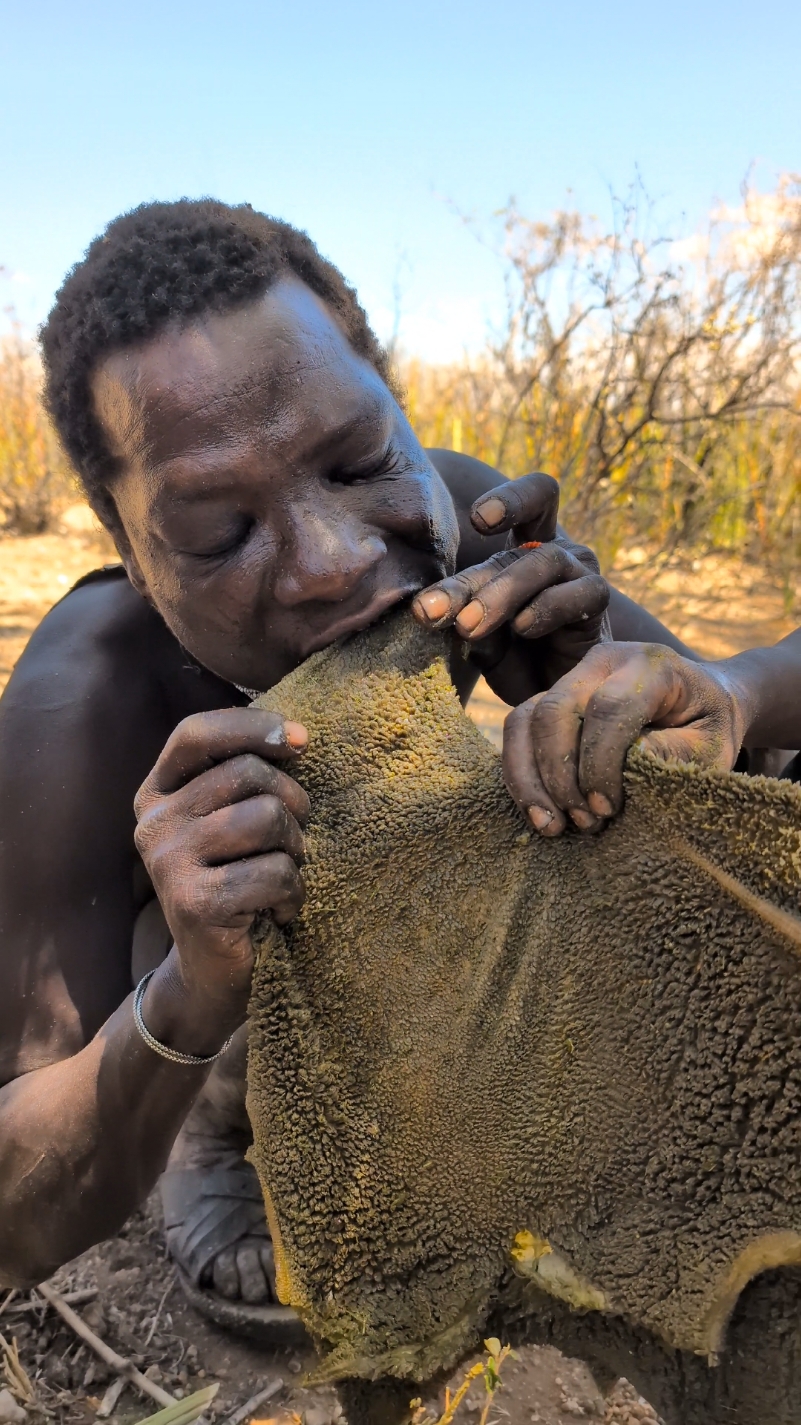 This is incredible delicious food made by hadzabe tribe middle of nowhere without any spices 😋😲‼️#africatribes #USA #villagelife #hadzabetribe #tiktok 