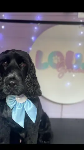#mrtoby