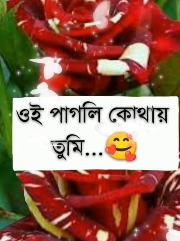 #তোমাকে #খুব #মিস #করছি #😔😔 #viral #bdtiktokofficial #tiktok #foryoupage @꧁༒☬ 🌑মুসাফির🌑 ☬༒꧂ @🆁 🅰 🆂 🅴 🅻 @🅢︎.🅚︎.🅢︎🅤︎🅗︎🅐︎🅖︎ @👑👑 মায়াবী শেহজাদা 👑👑 @🔰🔰MD RAZU AHMMADE🔰🔰 @🅵🅰🅷🅸🅼🅰_🅸🆂🅻🅰🅼 @Mⱥjђⱥrul❥ @༄MD°᭄🅽🅾🆈🅾🅽⁂⁙𝑵+F⁙⁂ 