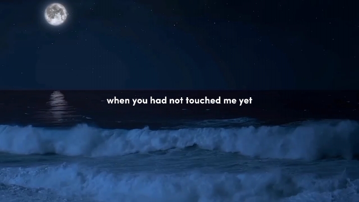 The night we met #thenightwemet #songslyrics #lirikvideo #fypシ゚viral #fandie20 