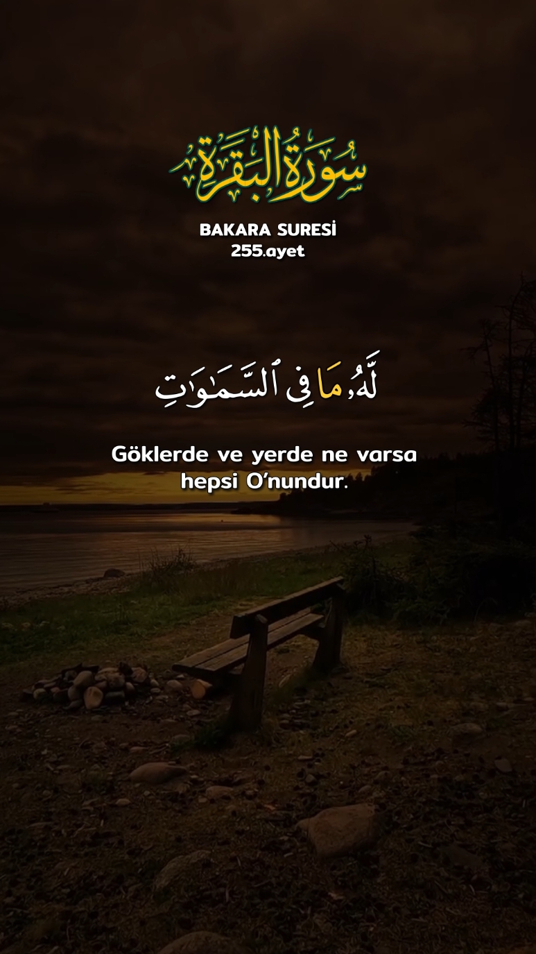 Bakara suresi #قران_كريم #quran #ماهرالمعيقلي 