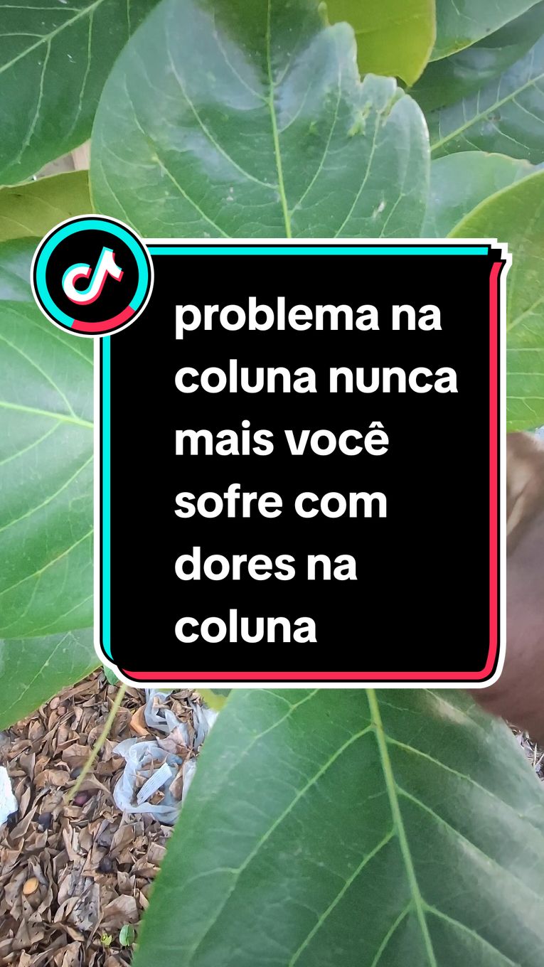 #dicadesaude🙌 #saudepelasplantas problema na coluna nunca mais você sofre com dores na coluna