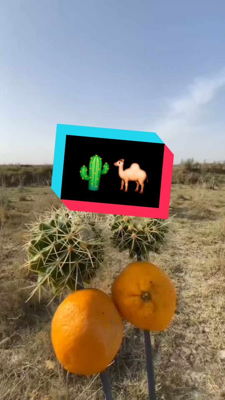 El camello y el cactus 🐪🌵 #animales #camello #biologiadesdecero #educación #BDC 