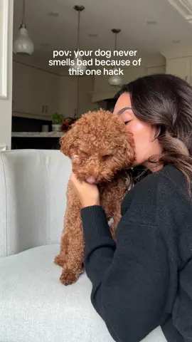 The secret? 👇🏼 It’s Preshies dog perfume 😍  Our formula doesn’t just make your pup smell amazing—it conditions their coat and soothes their skin too! With natural ingredients that are safe and gentle, it’s the perfect daily finishing touch for your furry friend. Say goodbye to doggy odor and hello to cuddle-ready freshness all day long! 🐕💖 #freshpup #dogcoatcare #doggroomingtips #doglifestyle #dogloverscommunity #healthydog #dogcaretips #petgrooming
