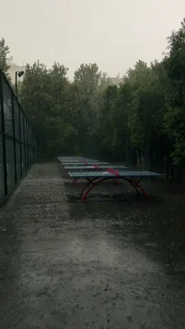 1 minute Rainy Walks ⛈️ #rain #nature #grow #fypppppppppppppp #unitedkingdom #🇬🇧 #100k 