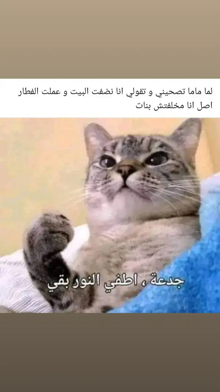 #🤣🤣🤣🤣 #اكسبلورexplore #صلوا_على_رسول_الله #🤣🤣🤣🤣 