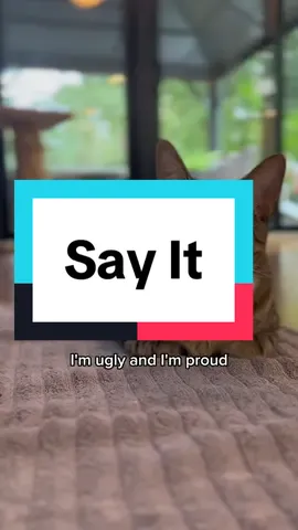 @The Loki Show truth hurts lil bro #catsoftiktok #orangecat #funnycat #badcatsoftiktok #badcats #funnycats 