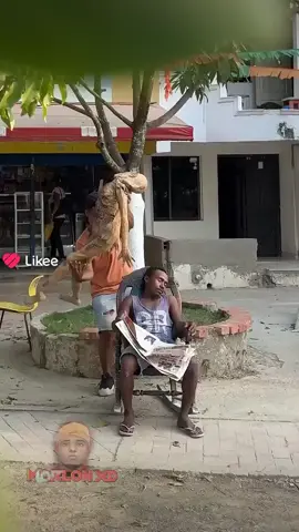 🇩🇿🤣🤣🤣🤣🤣🇮🇹