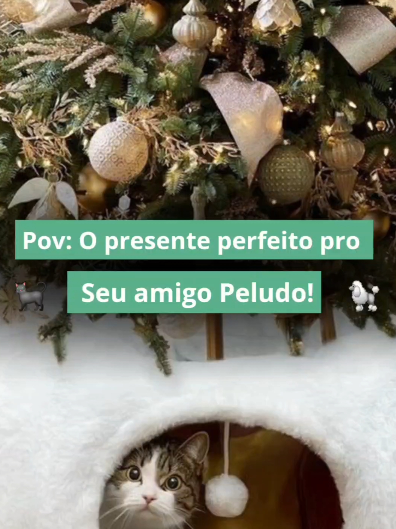 Deixe seu pet viver o Natal em grande estilo com a Cama de Túnel Plush!  Um cantinho aconchegante pra brincar e relaxar bem embaixo da árvore.  Comente 'eu quero' se amou essa ideia  #pet #natal #gato #cachorro #arvoredenatal #cama #VitrineDeAchadinhos #achadinhos #shoppe #CapCut 