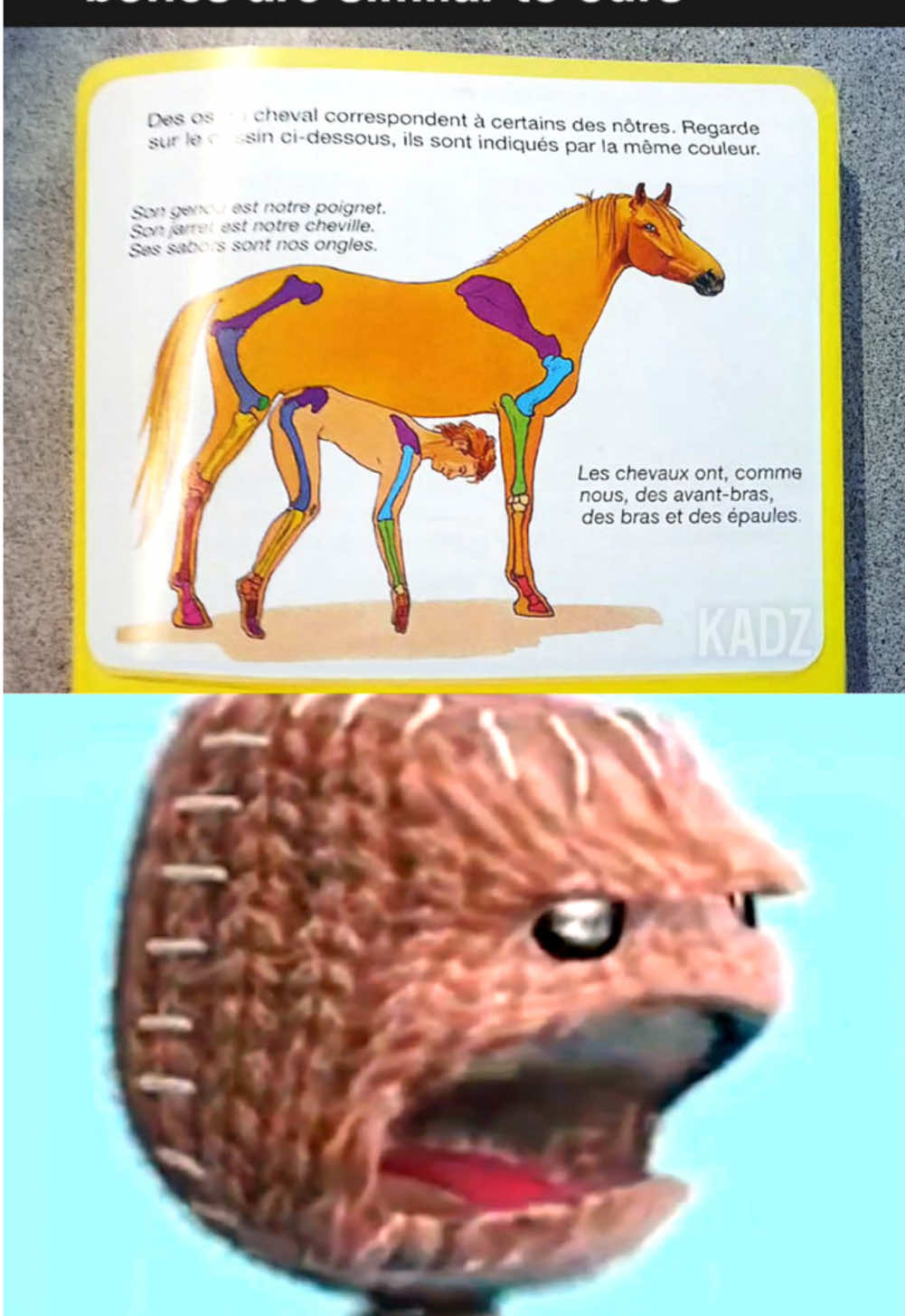 This textbook is crazy ☠️ #meme #memes #textbook #sackboy