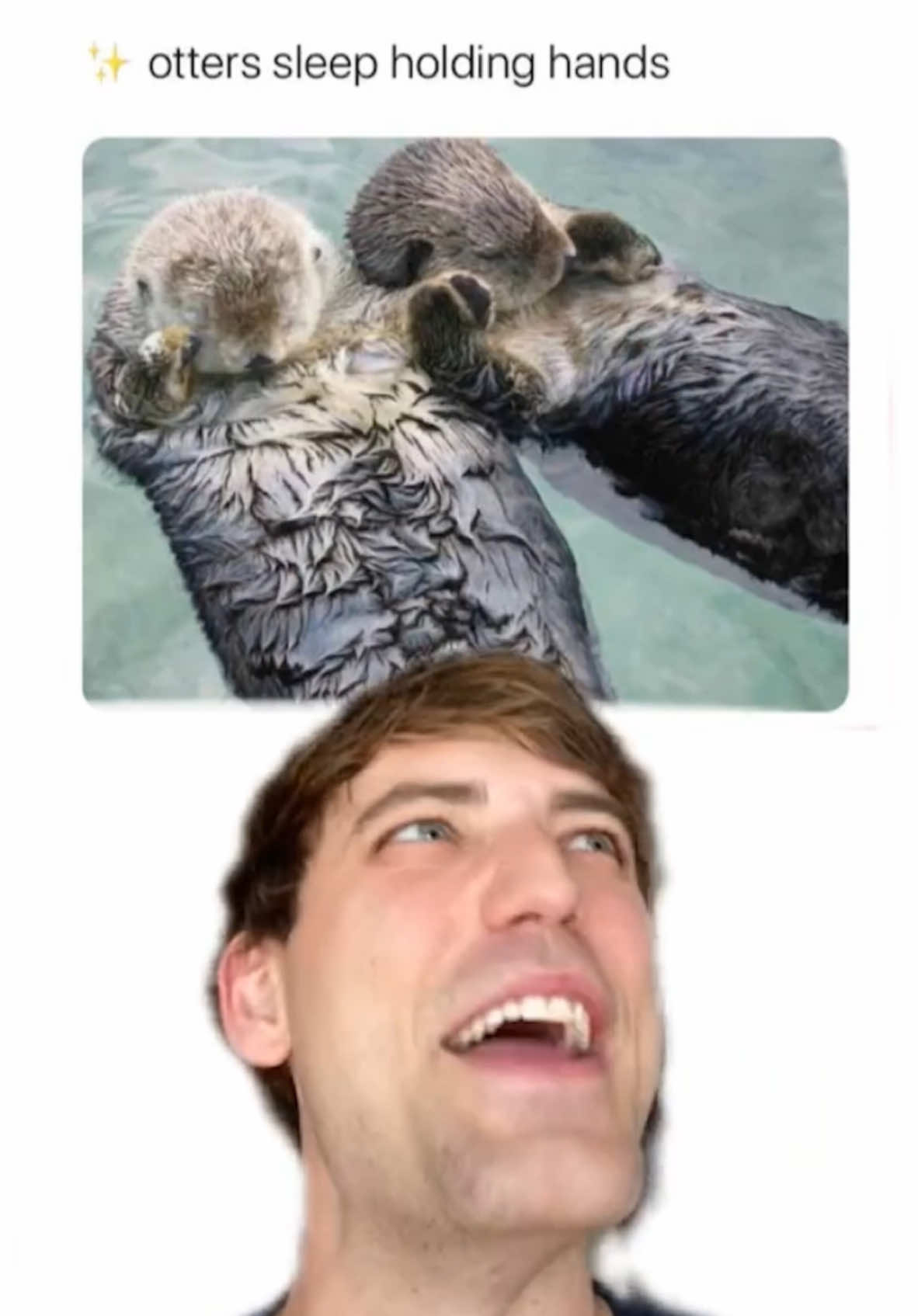 Them otters tho