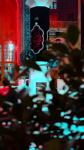 #مرقد_الامام_علي_عليه_السلام #ياعلي #فاطمة_الزهراء #viral_video #explore 