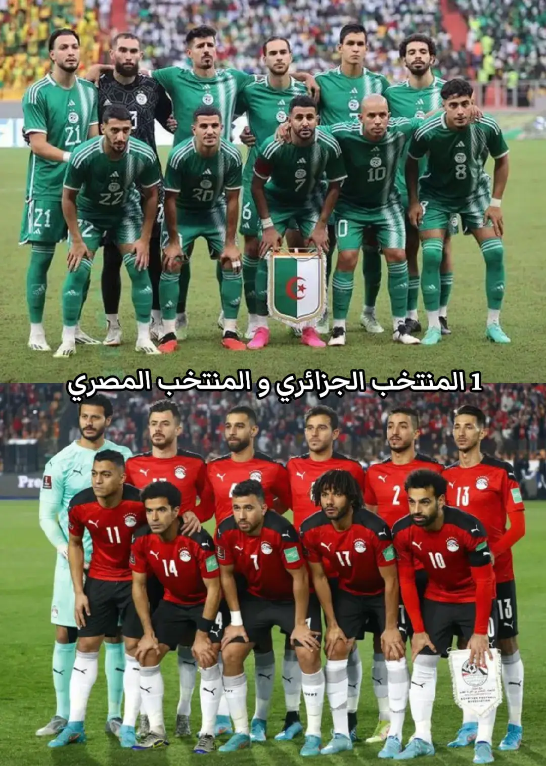 #الشعب_الصيني_ماله_حل😂😂 #الجزائر🇩🇿 #المغرب🇲🇦 #مصر🇪🇬 #تونس🇹🇳 #ليبيا🇱🇾 #السعودية🇸🇦 #العراق🇮🇶 #امارات🇦🇪 #سوريا🇸🇾 