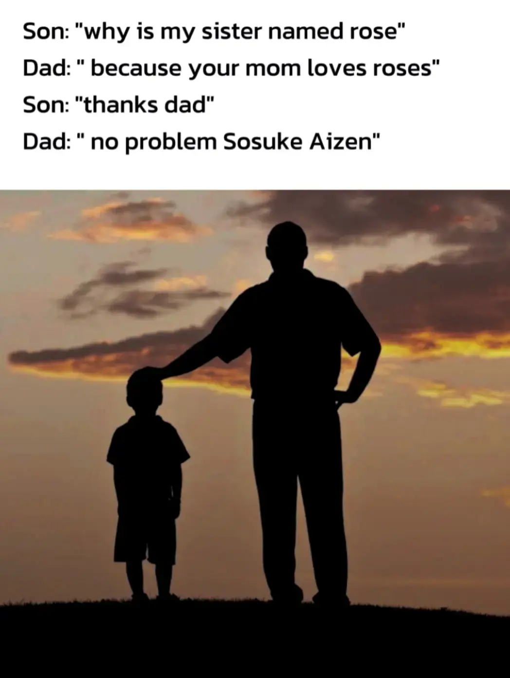 #fyp #fy #bleach #aizen #aizensosuke #anime #son #dad