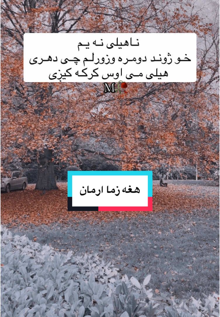 #@هغه زما ارمان M 🥀💔 