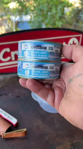 For people who cant fish #fyp #catchcleanandcook #beardedfisherman #fishing #fish 