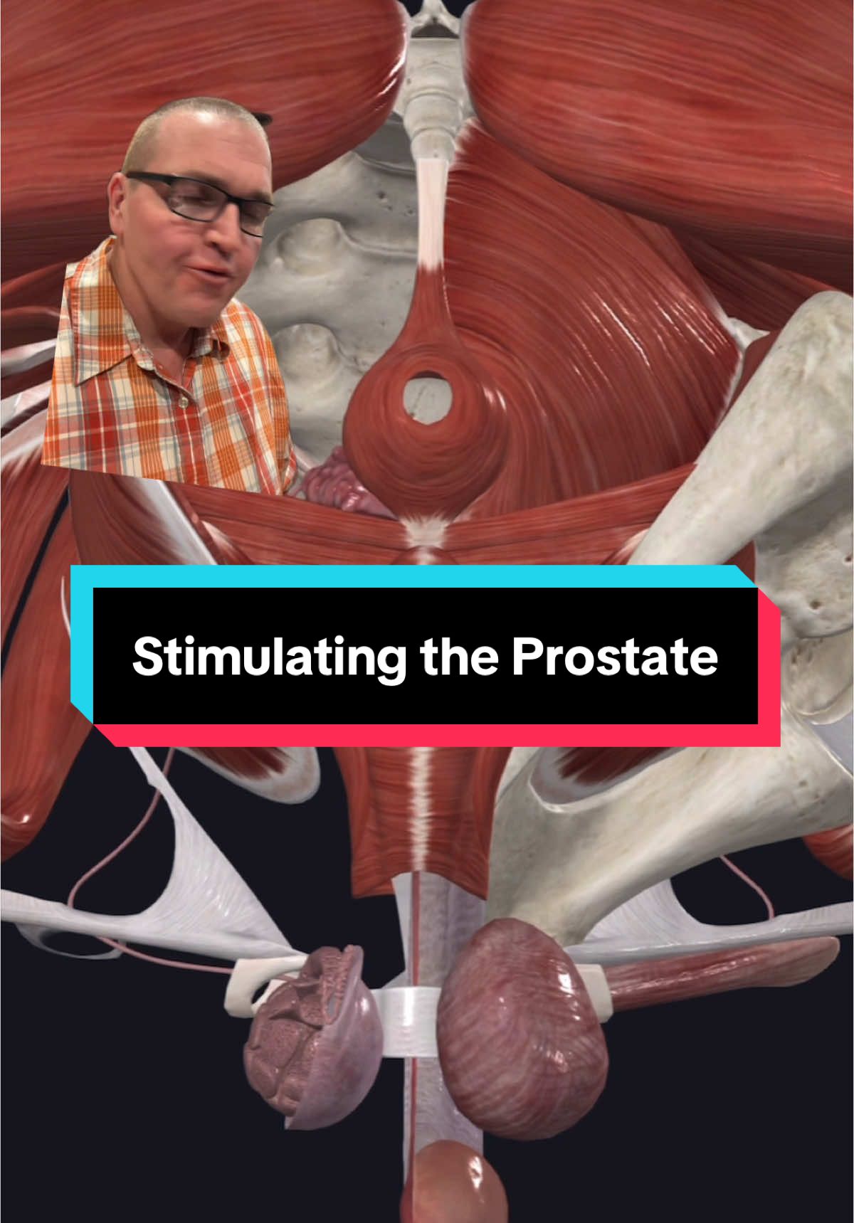 A quick guide on accessing the prostate gland for fun and profit. No hash tags, this is all you friend. 