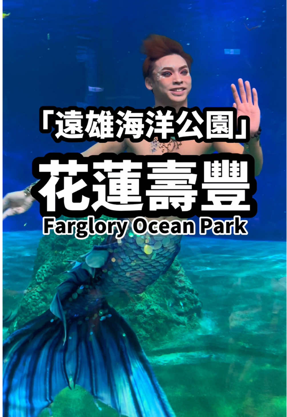 花蓮壽豐·遠雄海洋公園｜Farglory Ocean Park 🔔 限時優惠！線上完成預約即可享2折購買門票優惠，不限票種皆可使用！$198玩爆海洋公園！ 📍地址 花蓮縣壽豐鄉福德189號 ⏰開放時間 09:30-17:00（週末9:00營業） ☎️電話  03-8652820 #水族館 #海豚 #美人魚 #海獅 #遊樂設施 #教育體驗 #互動體驗 #動物表演 #海洋生態 #遠雄海洋公園 #花蓮海洋公園 #旅遊補助 #好康 #好康優惠 #優惠活動 #有趣 #省錢 #花蓮親子 #親子景點 #壽豐 #花蓮壽豐 #花蓮景點 #Aquarium #Dolphins #Mermaids  #SeaLions #shoufeng #hualien #hualientravel #traveltaiwan