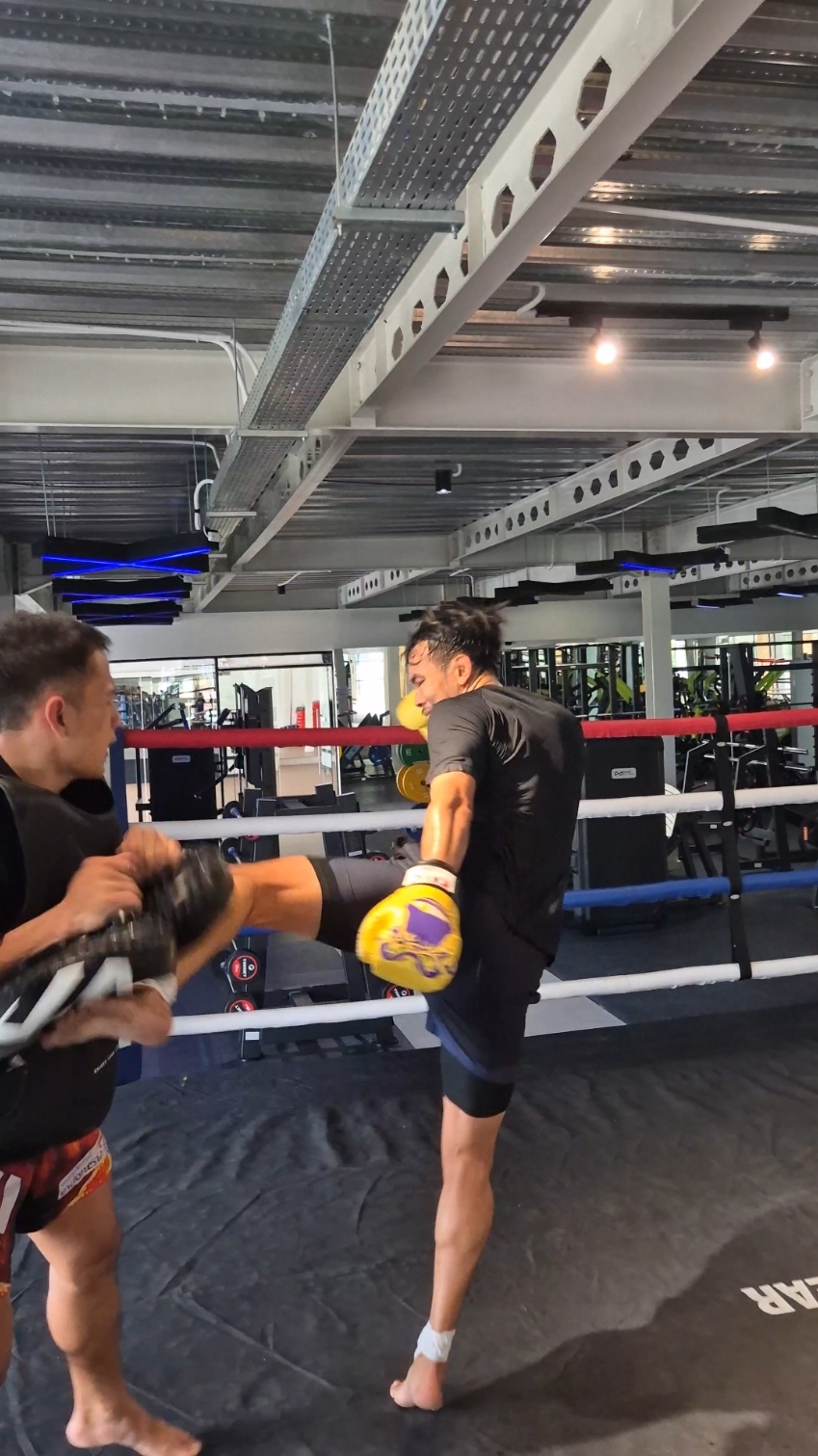 Sudah H-16 mohon doa dan support ya guys.. @BYON COMBAT @celloszxz🧑🏻‍🦲 @Agres.ID @Hyvolt Fitness @Whittaker Official @secangkirhotto  #byoncombat #byoncombatshowbiz  #byon  #muaythai #kickboxing 