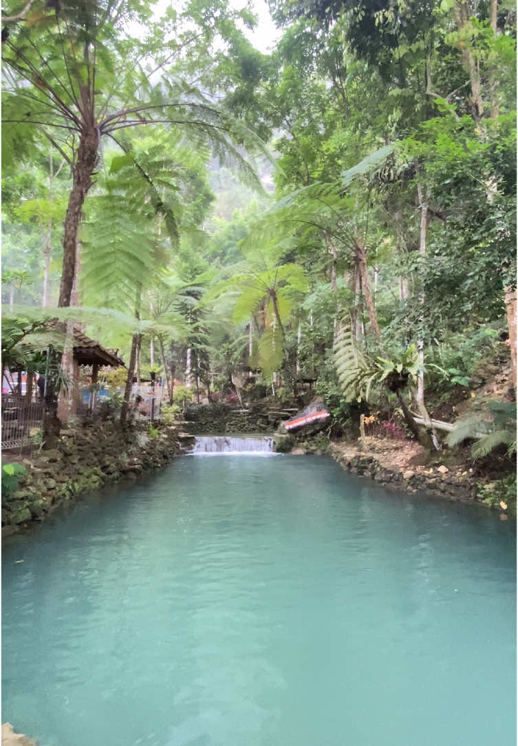 KESASAR TA⁉️ 📍Ekowisata Sungai Mudal, Jatimulyo, Girimulyo, Kulon Progo, Yogyakarta #wisatajogja #kulonprogo #kulonprogoyogyakarta #kulonprogostory #wisata #wisataalam #wisataair #jogja24jam #jogja #jogjainfo #jogjahits #jogjakarta #explorejogja #hidden #hiddengems #healing #travelling #trip #fyp #fypp #xybca 